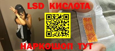 дмт Славгород