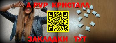 дмт Славгород
