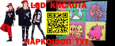 дмт Славгород