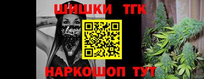 дмт Славгород